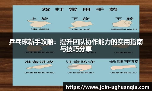 乒乓球新手攻略：提升团队协作能力的实用指南与技巧分享